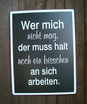 Produktbild von Metallschild Spruch, Shabby: Wer mich nicht mag, der muss ... 35x27cm