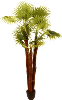 Produktbild von Künstliche palme h180cm  - Atmosphera créateur d'intérieur