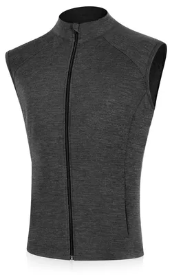 Image de Gilet en Laine pour homme Lasting WESO
