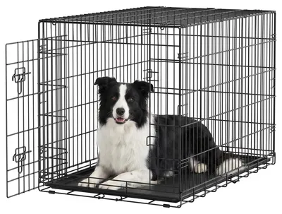 Produktbild von Feandrea Faltbare Hundebox, Hundekäfig XXL, 1 Tür, Stahl – Größe L 107 x B 70 x H 77,5 cm