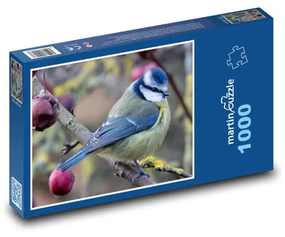 Zdjęcie produktu dla Puzzle 1000 Sikorka na jesiennej gałęzi - martinpuzzle