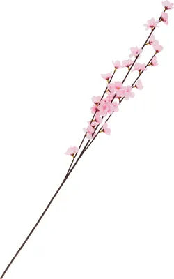 Produktbild von Apfelblüten Zweig, ca. L 79 cm