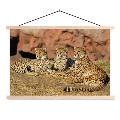 Produktbild von MuchoWow® Textilposter Gepardenmutter und -junge 60x40 cm mit holzfarbenen Rahmen - Bilder