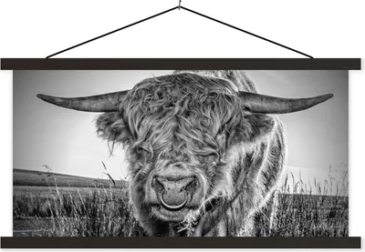 Produktbild von MuchoWow® Textilposter Schottisches Hochlandrind - Schwarz und Weiß 90x45 cm mit schwarzem Rahmen - Klemmleisten