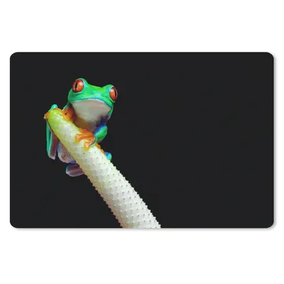 Produktbild von MuchoWow® Schreibtischunterlage Frosch - Tier - Pflanze 60x40 cm - XXL Mauspad - Großes Mauspad