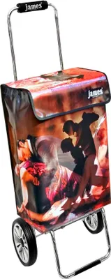 Obrázek produktu pro Nákupní vozík James - TANGO - robustní nákupní vozík s individuálním designem - jednobarevný: hnědý v provedení: Chrome19