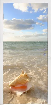 Produktbild von MuchoWow® Türtapete Selbstklebende Türfolie Muschel - Meer - Himmel 90x205 cm Türposter Türaufkleber Klebefolie Türklebefolie - Türaufklebern