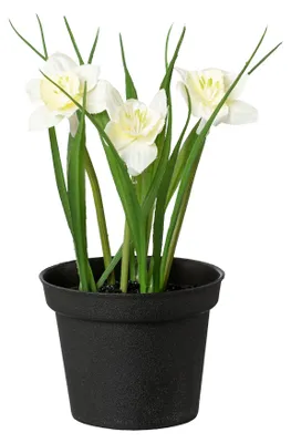 Produktbild von Kunstpflanze Narzisse mit Gras im Kunstofftopf, Osterglocke, 17cm Weiß