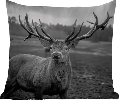 Produktbild von MuchoWow® Outdoor Kissen - Tiere - Hirsch - Geweih - Schwarz und weiß - Natur - 45x45 cm - Wetterfest - Lounge Kissen - Fotokissen - Dekoratives Kissen
