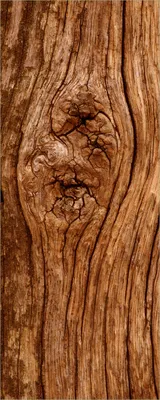 Produktbild von Wallario selbstklebendes Poster - Holzstamm mit Asteinschluss, Größe: 50 x 125 cm