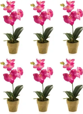 Produktbild von 6er Set künstliche Mini Orchidee im Topf pink H. 25cm Emerald Zimmerpflanze