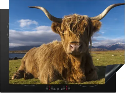 Produktbild von KitchenYeah© Herdabdeckplatte Schottische Highlander - Tiere - Gras , 71x52cm, Küche Deko, Glaskeramikkochfeld Herdabdeckung, Abdeckplatte fùr Kochfeld