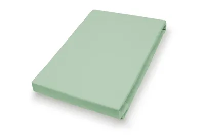 Produktbild von 100x200 Elasthan-Feinjersey-Spannbetttuch Eukalyptus 03700-576 | 1