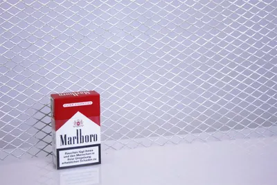Obrázek produktu pro Drátěné pletivo Drátěné pletivo pozinkované 333x0,3x1000 mm