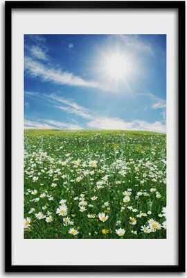Produktbild von Bild - Bilderrahmen - 40 cm x 60 cm - MDF - Rahmen - Wandkunst - Wiese