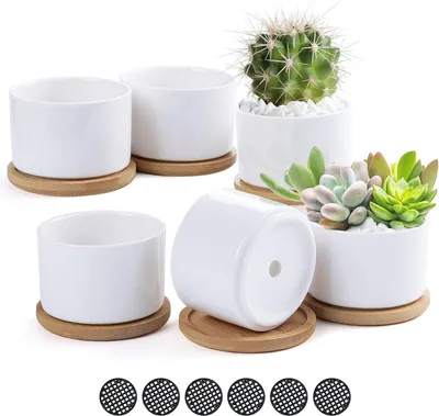 Produktbild von Keramische Mini-Pflanzpotten weiß 7,5 cm Dekoration