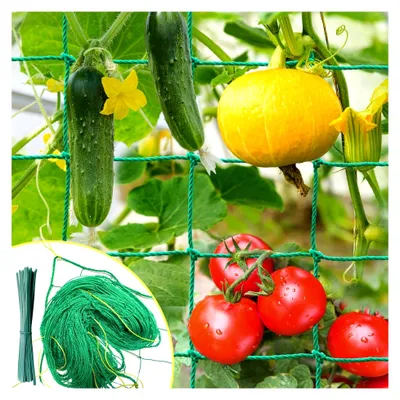 Produktbild von Ranknetz 2x3m mit großer Maschenweite für Kletterpflanzen, ideal für Gurken und Tomaten