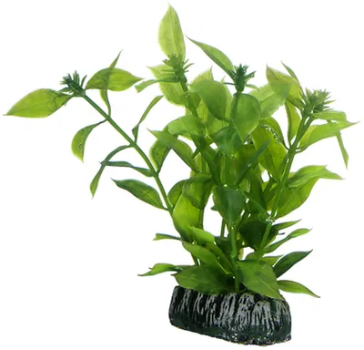 Produktbild von Hobby Hygrophila, künstliche Pflanze 13 cm