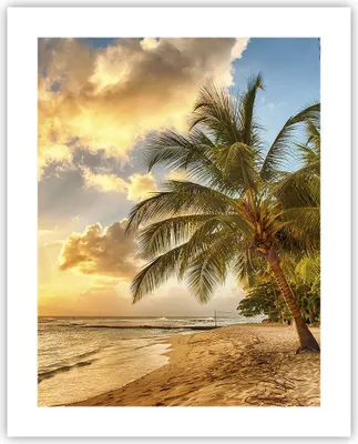 Produktbild von Poster - Poster ohne Rahmen - Strand Meer Palme - 40x50 cm - Wand Bild - Wanddeko - Wandbilder - Kunstposter - Wandposter - Bilder - Kunstdruck - Wanddekoration - Wandbild - P2XPA40x50-3606