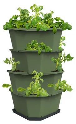 Obrázek produktu pro Gusta Garden PAUL POTATO samozavlažovací truhlík 4vrstvá, tmavě zelený, rozměry 38×38×65 cm