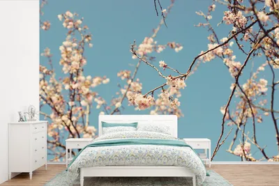 Produktbild von MuchoWow® Fototapete für Wohnzimmer oder Schlafzimmer Wandtapete Vinyl Motivtapete Blüte - 360x240 cm - Vinyl-Tapete