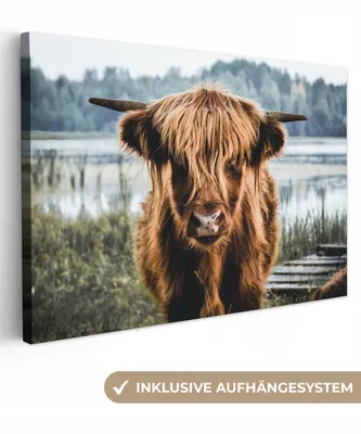Produktbild von MuchoWow® - Leinwandbilder - Kühe - Schottische Hochlandbewohner - Braun - Natur, Wandbild, Wanddeko Bilder Wohnzimmer, 60x40cm