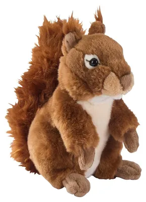 Produktbild von Plüschtier Eichhörnchen