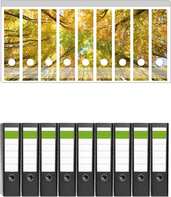 Produktbild von Wallario 9 Stück breite Ordner inkl. Klebeetiketten mit Motive Goldener Herbst - Bunte Blätter von unten betrachtet -  Set mit Rückenschildern / Ordnerrücken Stickern