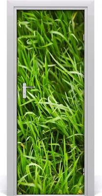 Produktbild von Tulup Türaufkleber 75x205 cm Dekorative Aufkleber Selbstklebend Wasserdichte Tapete Abnehmbar Schlafzimmer Wohnzimmer Wohnkultur - Wand Gras