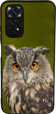 Produktbild von TPU Silikon Hülle für Xiaomi Redmi Note 11 / 11S Handy Cover Case Schutzhülle Handyhülle Bumper MOTIV 141 Eule
