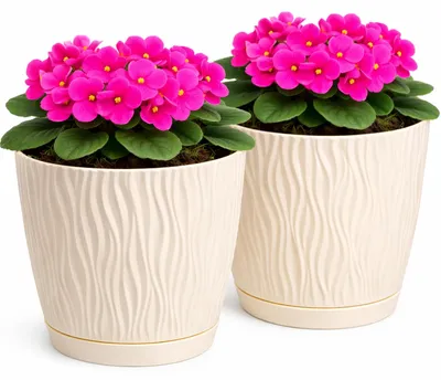 Productafbeelding van Solidchoice - Set van 2 Matte Bloempotten voor Planten