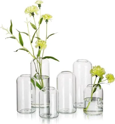 Produktbild von Famanu Set von 6 modernen Glasvasen - Kleine Zylinder Vasen für Tischdekoration