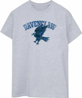 Produktbild von Harry Potter - T-Shirt für Herren BI1642 (XXL) (Grau)