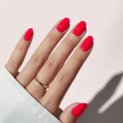 Image de Ongles artificiels adhésifs, forme ovale, couleur rose saumon, 16 tailles. Kit d'ongles avec colle