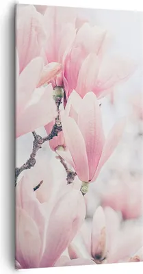 Produktbild von Bild auf Leinwand - Leinwandbild - Einteilig - Magnolie Blumen Rosa - 65x120cm - Wand Bild - Wanddeko - Wandbilder - Leinwanddruck - Bilder - Wanddekoration - Leinwand bilder - PA65x120-4396