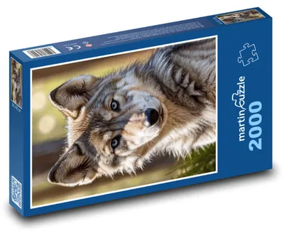 Obrázok produktu pre martinpuzzle - Puzzle 2000 - Štena vlka