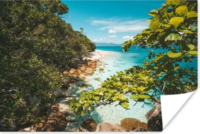 Produktbild von MuchoWow® Poster Great Barrier Reef bei Fitzroy Island 180x120 cm - Fotoplakat