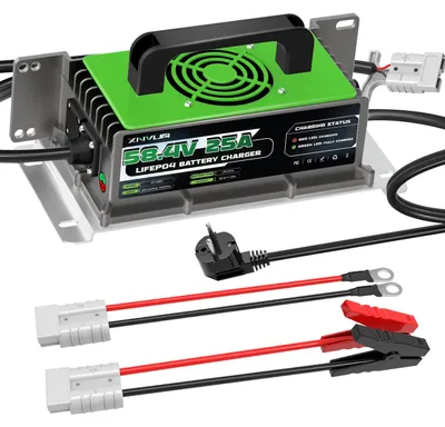 Immagine prodotto di Caricabatterie LiFePO4 - 58,4 V 25 A - Caricabatterie per batterie al litio