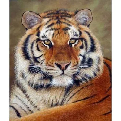 Immagine prodotto di Dipinto con strass - OCCHIO DI TIGRE senza cornice 40 x 50 cm