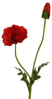Produktbild von Kunstblume MOHN mit Blüte und Knospe. Mohnblume in rot ca 60cm.