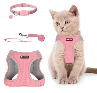 Image de Harnais pour chat avec laisse, anti-évasion, réglable, doux, rose, taille XS