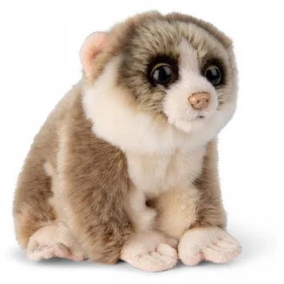 Image de WWF - Loris le paressauex pygmee - 18cm