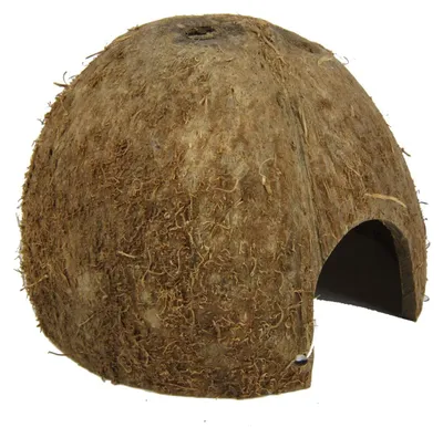 Obrázok produktu pre JBL Cocos Cava 1/2 M