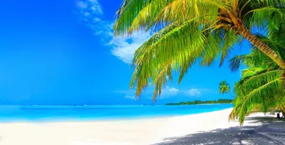 Immagine prodotto di Tappetino riscaldante Rivestimenti per radiatori Copertura decorativa Beach Ocean 60x100