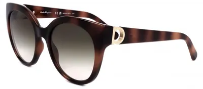 Produktbild von Ferragamo SF1031S Tortoise 53/20/140 Damen Sonnenbrillen