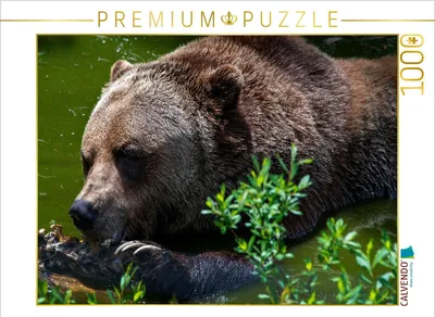 Produktbild von CALVENDO Puzzle Brot und Spiele | 1000 Teile Lege-Größe 64x48cm Foto-Puzzle für glückliche Stunden
