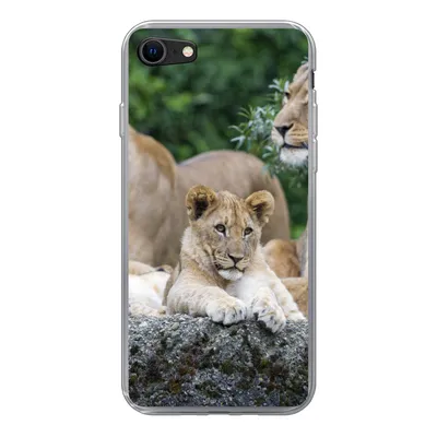Produktbild von MuchoWow® Handyhülle Schutzhülle Hülle für iPhone 8 Löwen - Tiere - Jungtiere Silikon Softcase Handy Hülle - Schutzhaube