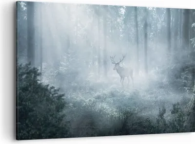 Produktbild von Bild auf Leinwand - Leinwandbild - Einteilig - Hirsch Wald Morgendämmerung - 120x80cm - Wand Bild - Wanddeko - Wandbilder - Leinwanddruck - Bilder - Wanddekoration - Leinwand bilder - AA120x80-4667