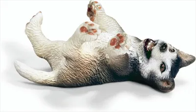 Produktbild von Schleich - 16374 Husky Welpe liegend