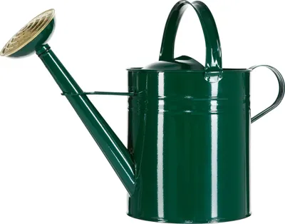 Produktbild von Dehner Gießkanne Zink, grün, 9 l, 48x37x21 cm, nostalgisch, mit Messing-Brauseaufsatz und Gummidichtung, ausbalanciert und leicht